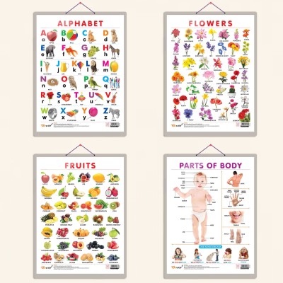 ALPHABET CHART HARD LAMINATED, FRUITS CHART HARD LAMINATED, FLOWERS CHART HARD LAMINATED, and PARTS OF BODY CHART HARD LAMINATED | combo of 4 charts | Exploring Literacy, Anatomy, and Natural Beauty Paper Print(20 inch X 15 inch)