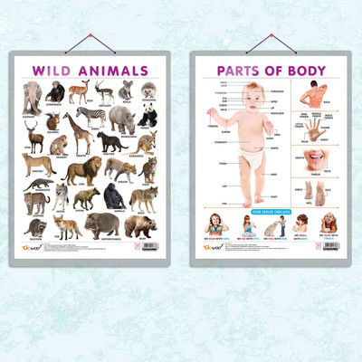 PARTS OF BODY CHART HARD LAMINATED and WILD ANIMALS CHART HARD LAMINATED | combo of 2 charts | Body Parts and Wild Kingdom Exploration Paper Print(20 inch X 15 inch)