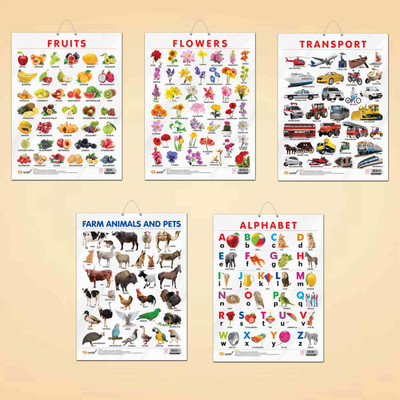 ALPHABET CHART GLOSS LAMINATED, FRUITS CHART GLOSS LAMINATED, FLOWERS CHART GLOSS LAMINATED, FARM ANIMALS AND PETS CHART GLOSS LAMINATED, and TRANSPORT CHART GLOSS LAMINATED | combo of 5 charts | Interactive Learning Essentials Kit Paper Print(20 inch X 15 inch)
