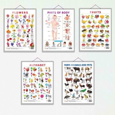 ALPHABET CHART HARD LAMINATED, FRUITS CHART HARD LAMINATED, FLOWERS CHART HARD LAMINATED, FARM ANIMALS AND PETS CHART HARD LAMINATED, and PARTS OF BODY CHART HARD LAMINATED | combo of 5 charts | Knowledge Hub Laminated Set Paper Print(20 inch X 15 inch)