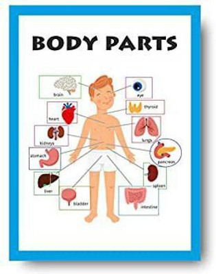 Early Learning Educational Posters Paper Print(16 inch X 12 inch)