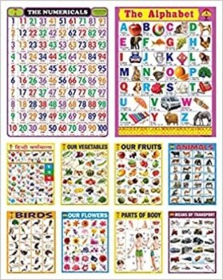 Kids learning Laminated Wall Chart | Size 45X60 CM | Non-Tearable and Waterproof | Pack of 10 Attractive Charts Photographic Paper(60 inch X 45 inch, ROLLED)