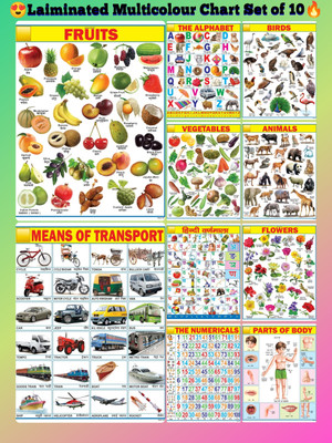 Educational Charts set for Kids | 45cm×60cm (Extra Large Size to attract Kids) | Combo of 10 Charts | Non-Tearable and Waterproof | Perfect for Homeschooling, Kindergarten and Nursery Students Fine Art Print(23 inch X 18 inch, 10 chart with box packging)