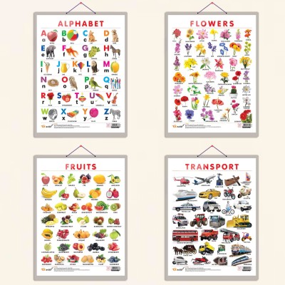 ALPHABET CHART HARD LAMINATED, FRUITS CHART HARD LAMINATED, FLOWERS CHART HARD LAMINATED, and TRANSPORT CHART HARD LAMINATED | combo of 4 charts | Educational Visuals Quartet Set Paper Print(20 inch X 15 inch)