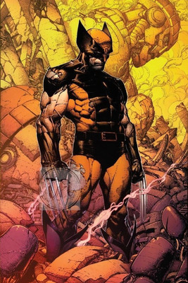 Superhero Wolverine Poster, Unframed, With Double Sided Tape Paper Print(18 inch X 12 inch, Rolled)