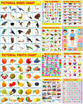 Multicolored Educational Learning Chart for or Kids Size 45×60cm Pack OF 10 Printing Quality HD Fine Art Print(18 inch X 23 inch, 10 Chart)