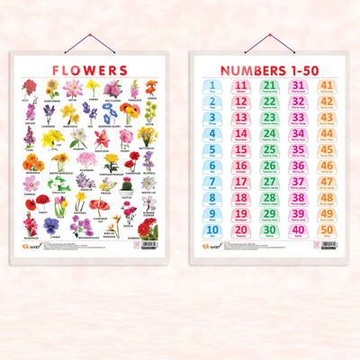 FLOWERS CHART HARD LAMINATED and NUMBER 1-50 CHART HARD LAMINATED | combo of 2 charts | Petal and Numeracy Educational Visuals Paper Print(20 inch X 15 inch)