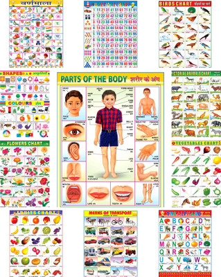learning chart for kids, educational posters, wall charts (pack of 11) laminated charts, alphabets chart, numbers chart, fruits chart, animals chart, classroom charts, early learning materials Fine Art Print(18 inch X 23 inch, 11 Chart)