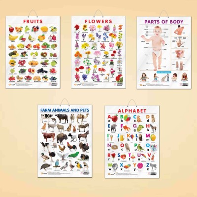 ALPHABET CHART GLOSS LAMINATED, FRUITS CHART GLOSS LAMINATED, FLOWERS CHART GLOSS LAMINATED, FARM ANIMALS AND PETS CHART GLOSS LAMINATED, and PARTS OF BODY CHART GLOSS LAMINATED | combo of 5 charts |Colorful Charts for Kids' Exploration Paper Print(20 inch X 15 inch)