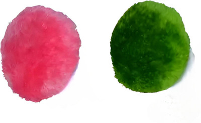 Elecsera Soft Face Body Cosmetic Powder Puff Sponge(Multicolor)