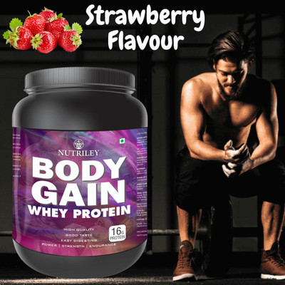 NUTRILEY Body Gain Weight Gainer Muscle Fit & Gainer Whey Protein Supplement Muscle Power Weight Gainers/Mass Gainers(500 g, Strawberry Flavour)