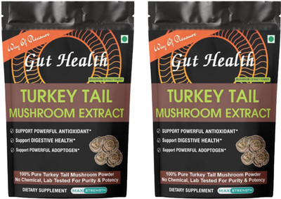 Way Of Pleasure Turkey Tail Mushroom Extract Powder Protein Supplement Powder Pack 2 Weight Gainers/Mass Gainers(120 g, Unflavored)