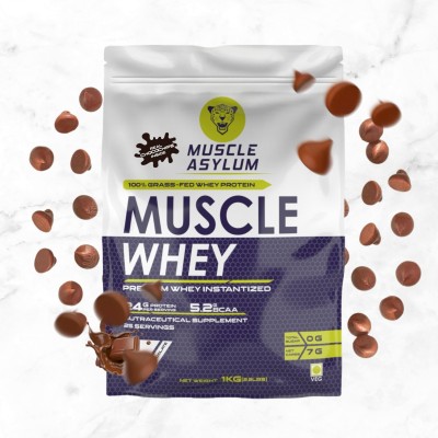 Muscle Asylum Premium Whey Protein (With Real Chocochips Inside) 1kg (Double Chocolate) Whey Protein(1 kg, Chocolate with Real Chocochips Inside)