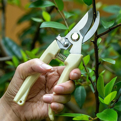 DeoDap Garden pruning shears Cutter For Home Garden | Flower Branch Sharp Cutter | Garden Pruning Shears Bypass Pruner(Manual)