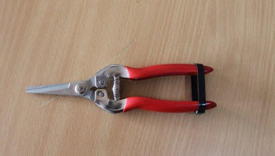 DAP 8811B Stainless Steel Fruit snip Bypass Pruner(Manual)