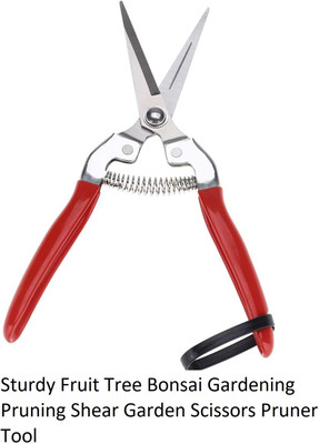 REIOENT QUALITY SCISSORS 8INCH 200MM FRUIT TREE FLOWER BRANCHES CUTTER STAINLESS STEEL PRUNING SHEARS HAND TOOLS Anvil Pruner(Manual)