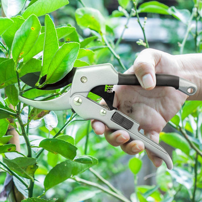 Dykidrah SK-5 Steel Blade Sharp Anvil Garden Scissors Hedge Pruning Shears Bypass Pruner(Manual)