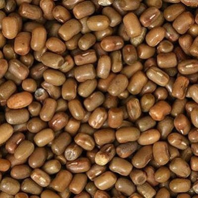 SIDDHI Mot Matki (Whole) (Moth Sabut Matki)(750 g)