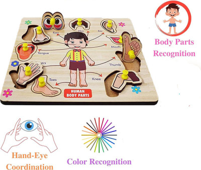 CASADOMANI Educational Parts Of Body Name Identification Matching Wooden Puzzle Board Toys(1 Pieces)