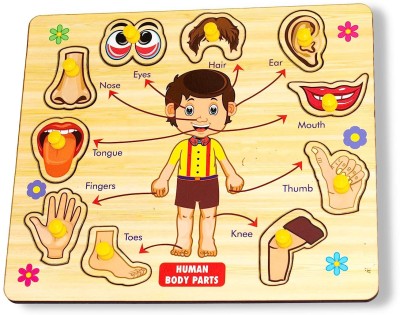 MECDOIT INTERNATIONAL Learning Human Body Parts Puzzle Board Game Jigsaw Puzzles Educational Toys(1 Pieces)