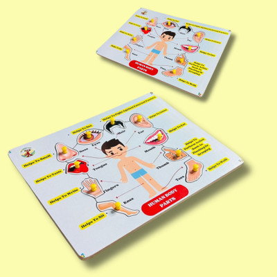 CHI-CHIMPU TOYS Kids Learning Puzzle Student Learning Puzzle Sets (Birds Puzzle Tray)(10 Pieces)