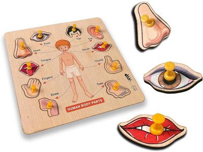 HIGHSEAS Smart Gift Students Educational Toys, Montessori Human Body Parts Peg Board(1 Pieces)