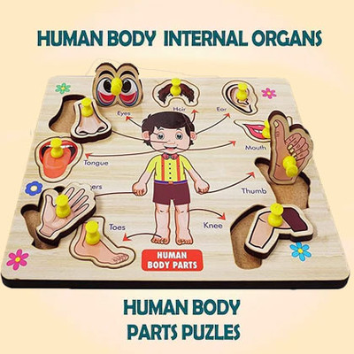HIGHSEAS Learning Human Parts Of Body Name Anatomy Skeleton Puzzles Board Montessori Toys(1 Pieces)