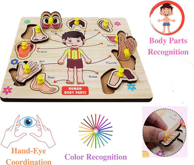 CASADOMANI Wooden Educational Parts Of Body Name Peg Tray Body Part Anatomy Skeleton Puzzle(1 Pieces)