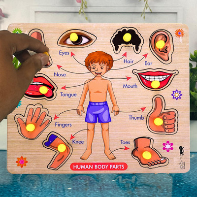 CASADOMANI Wooden English Body Part Puzzle Body Parts Anatomy Skeleton Peg Toys Board(1 Pieces)