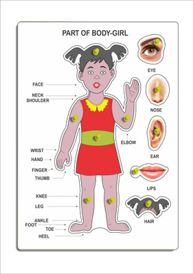VMTS PART OF BODY_GIRL(Multicolor)