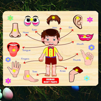CASADOMANI Identification Wooden Body Parts Anatomy Skeleton Puzzle Educational Peg Toys(1 Pieces)