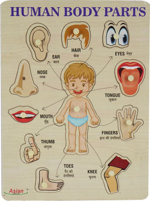 asian Portable Wooden Human Body Parts Puzzle for Kids Pack of 1 (Multicolor)(1 Pieces)