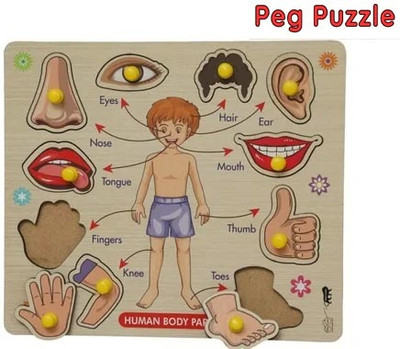 CASADOMANI Identification English Body Part Puzzle Body Parts Anatomy Skeleton Toys Board(1 Pieces)