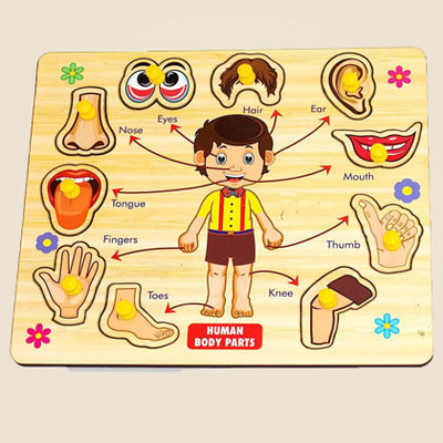 CASADOMANI Learn Parts of Body Name Matching Puzzle Tray Children Learning Game(1 Pieces)