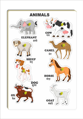VMTS ANIMAL03(Multicolor)