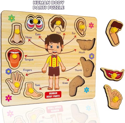Plus Shine Wooden Human Body Parts Puzzle with Knobs,Educational and Learning Game for Kids(1 Pieces)