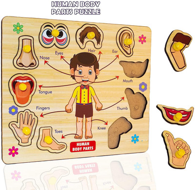 Plus Shine Wooden Human Body Parts Puzzle with Knobs,Educational and Learning Game for Kids(1 Pieces)