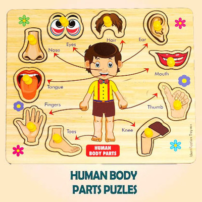 HIGHSEAS Human Body Part Wooden Slat Board Jigsaw Assembly Shape Puzzle Learning Toys(1 Pieces)