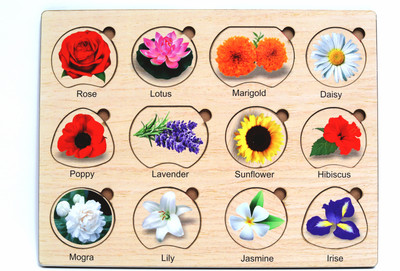 Craftick Colorfull Flower Wooden Educational Tangled Brain Teaser Puzzle for Kids(12 Pieces)
