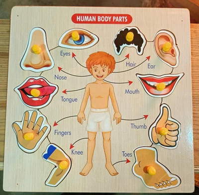 CASADOMANI Educational Parts Of Body Names Shapes Puzzle Board Montessori Toys Brain Teaser(1 Pieces)