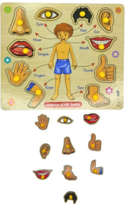 CASADOMANI Montessori English Body Part Puzzle Body Parts Anatomy Skeleton Toys Board(1 Pieces)