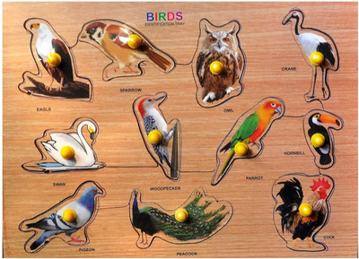 SHALAFI Identification Birds Peg Board Puzzle for Kids with Picture Early Learning Toys(1 Pieces)