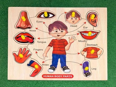 CASADOMANI Knobs Parts Of Body Name Identification Matching Wooden Puzzle Board Toys(1 Pieces)