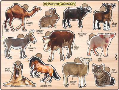Asvi WOODEN DOMESTIC/FARM ANIMALS EDUCATIONAL PUZZLE FOR KIDS 3 YRS AND ABOVE(11 Pieces)