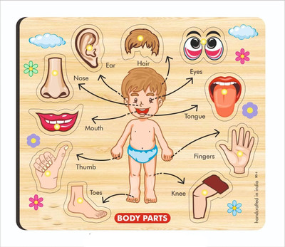 CASADOMANI Educational Body Parts Names Shapes Puzzle Board Montessori Toys Brain Teaser(1 Pieces)