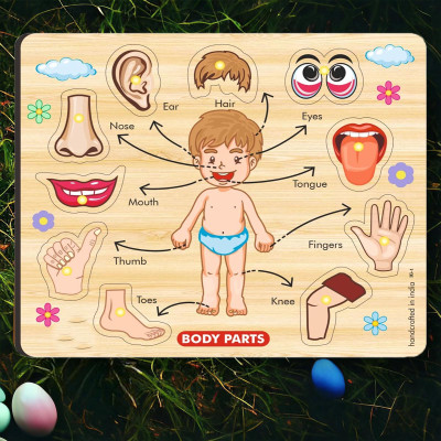 CASADOMANI Wooden Educational Peg Puzzles Identification Body Parts Anatomy Skeleton Puzzle(1 Pieces)