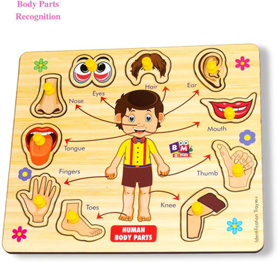 HIGHSEAS Wooden Activities Body Parts Chart Board Game Learning Puzzle Toys with Knobs(1 Pieces)