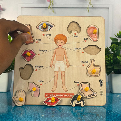 HIGHSEAS Smart Indoor Students Educational Toys, Human Body Parts Montessori Peg Board(1 Pieces)
