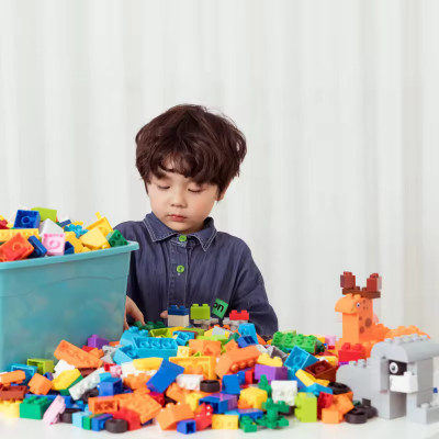 ARIZON Top Building Blocks Learning Educational Toy Puzzle Assembling 100+pcs(100 Pieces)