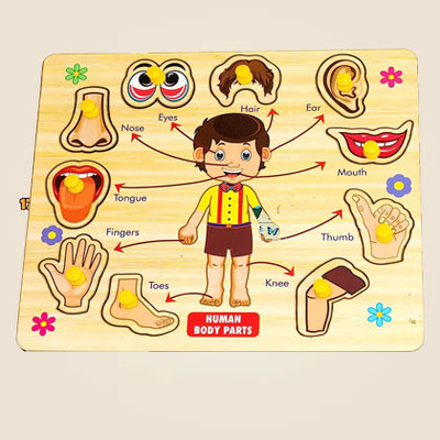 HIGHSEAS Educational Parts Of Body Name Identification Matching Wooden Puzzle Board Toys(1 Pieces)